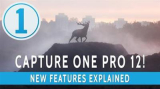 : Capture One Pro. v12.0.3.22