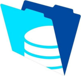 : FileMaker Server v18.0.2.217 (x64)