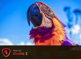 : ToPaz Studio v2.0.0