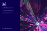 : Adobe Media Encoder CC 2019 v.hidden