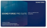 : Magix Sound Forge Pro Suite v13.0.0.131 (x64) Portable