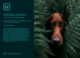 : Adobe Photoshop Lightroom v3.2.0 (x64)