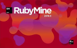 : JetBrains RubyMine v2019.3.4