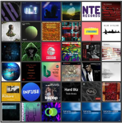 : Beatport Music Releases Pack 1876 (2020)