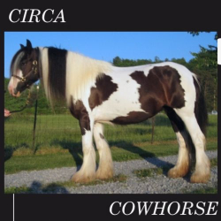 : Circa - The Cowhorse (2020)