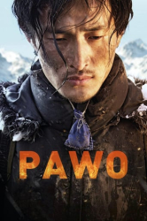 : Pawo 2016 German DTSHD DL 2160p UHD BluRay SDR HEVC Remux-NIMA4K