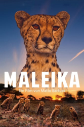 : Maleika 2017 DOCU GERMAN COMPLETE UHD BLURAY-PRECELL