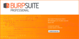 : Burp Suite Pro 2020 v4.1 Build 2502