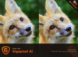 : Topaz Gigapixel AI v4.9.3