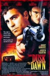 : From Dusk Till Dawn 1996 German 1040p AC3 microHD x264 - RAIST