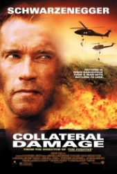 : Collateral Damage 2002 German 1080p microHD x264 - RAIST