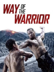 : Way of the Warrior 2013 German 800p AC3 microHD x264 - RAIST