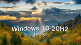 : Microsoft Windows 10 Professional 20H2 v2009 Build 19042.487 (x64)