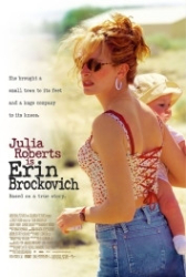 : Erin Brockovich 2000 German 1040p AC3 microHD x264 - RAIST