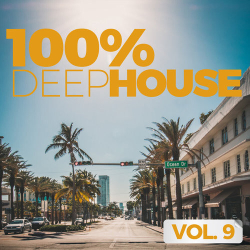 : 100% Deep House Vol 9 (2020)