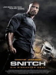 : Snitch - Ein riskanter Deal 2013 German 800p AC3 microHD x264 - RAIST