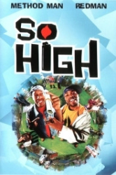 : So High 2001 German 1080p AC3 microHD x264 - RAIST