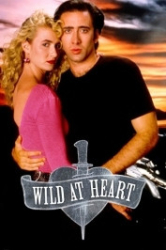 : Wild at Heart 1990 German 800p AC3 microHD x264 - RAIST