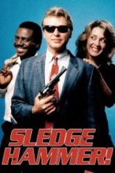 : Sledge Hammer Staffel 1 1986 German AC3 microHD x264 - RAIST