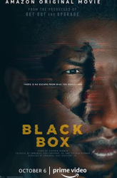 : Black Box 2020 German Dl 1080p Web h264-WvF