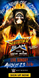 : Wwe Summerslam 2020 German Ac3 BdriP XviD-57r