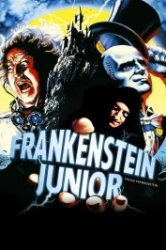 : Frankenstein Junior 1974 German 1040p AC3 microHD x264 - RAIST