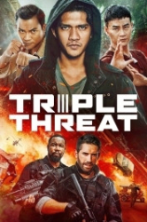 : Triple Threat 2019 German 800p AC3 microHD x264 - RAIST