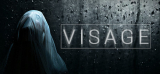 : Visage-Codex