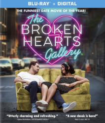 : The Broken Hearts Gallery 2020 Webrip German Ac3D XviD-Ps