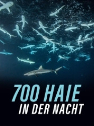 : 700 Haie in der Nacht 2018 German 1080p AC3 microHD x264 - RAIST