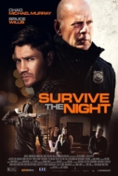 : Survive the Night 2020 German 960p AC3 microHD x264 - RAIST