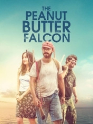 : The Peanut Butter Falcon 2019 German 800p AC3 microHD x264 - RAIST