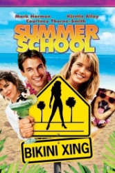 : Summer School 1987 German 1080p AC3 microHD x264 - RAIST