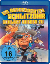 : Das ausgekochte Schlitzohr 3 German 1983 Ac3 Bdrip x264-SpiCy