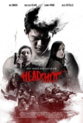 : Headshot DC 2011 German 960p AC3 microHD x264 - RAIST