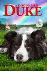 : Ein Hund namens Duke 2012 German 1080p AC3 microHD x264 - RAIST