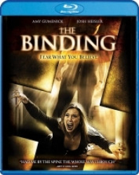 : The Binding 2016 German 800p AC3 microHD x264 - RAIST