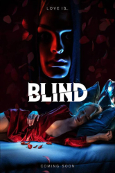 : Blind Du bist niemals allein 2019 German Ac3 Dl Bdrip x264-Shq