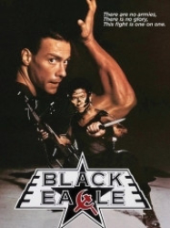 : Black Eagle DC 1988 German 1080p AC3 microHD x264 - RAIST