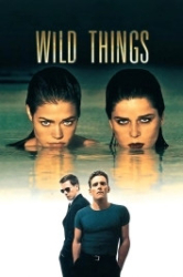 : Wild Things DC 1998 German 800p AC3 microHD x264 - RAIST