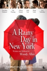 : A rainy Day in New York 2019 German 960p AC3 microHD x264 - RAIST