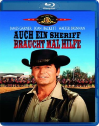 : Auch ein Sheriff braucht mal Hilfe 1969 German Ac3 Dubbed Bdrip x264 iNternal-muhHd