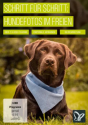 : PSD Tutorials Hundefotos im Freien