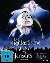 : Die phantastische Reise ins Jenseits 1988 German 1040p AC3 microHD x264 - RAIST