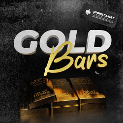 : Digikitz Gold Bars VST Retail