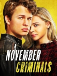 : November Criminals 2017 German 1080p AC3 microHD x264 - RAIST