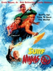 : Surf Ninjas 1993 German 1080p AC3 microHD x264 - RAIST