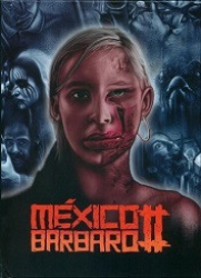 : Mexico Barbaro 2 2017 German 1080p AC3 microHD x264 - RAIST