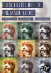 : PSD Tutorials Presets fuer Duplex und Magic Looks