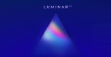 : Luminar AI v1.2.0 (7787) (x64) + Portable